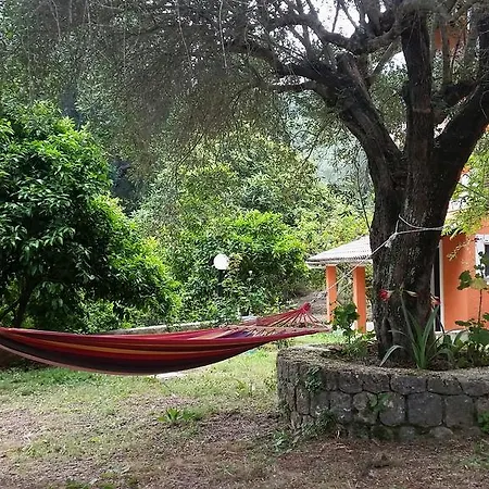 מלון דירות Sofia 2*